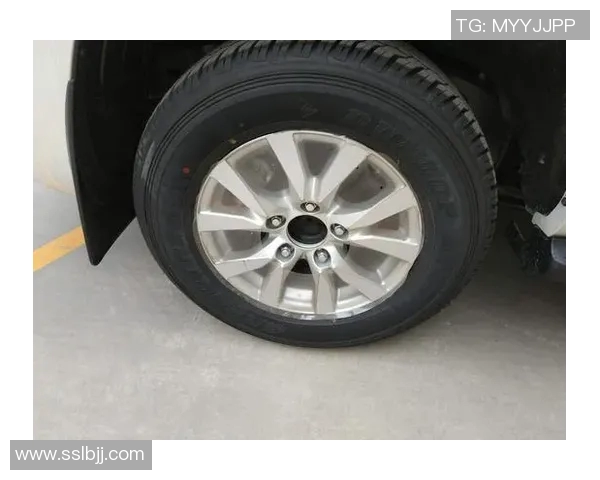 上海网球队在洲际杯积分榜中以91分稳居第一名展现强劲实力