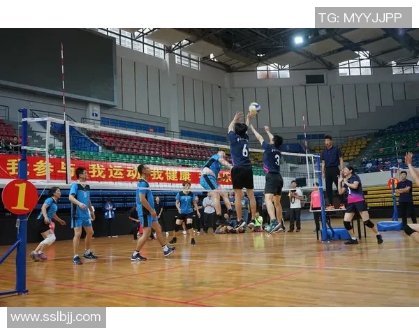 广州排球队总决赛个人能力分析与表现评估